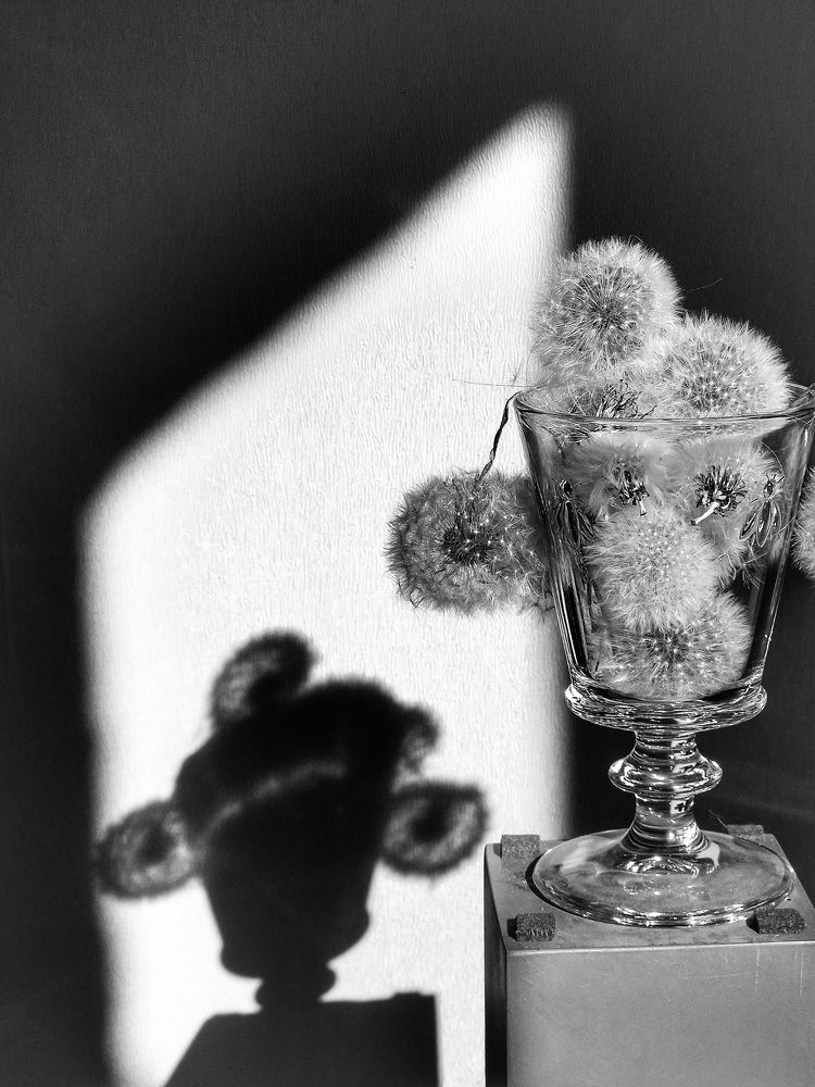 Photograph by Angelica Medvedeva