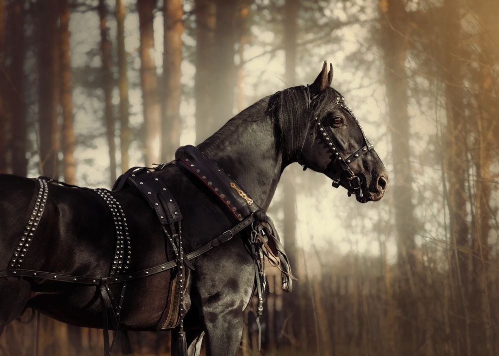 Photograph by Tatiana Veresk