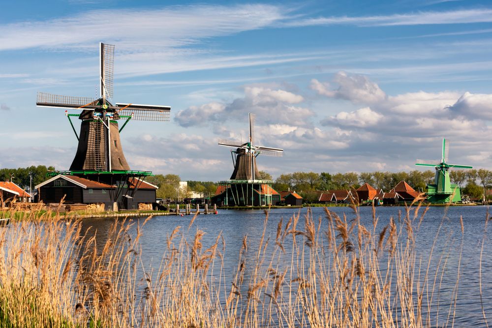 Photograph by Helen Mountaniol