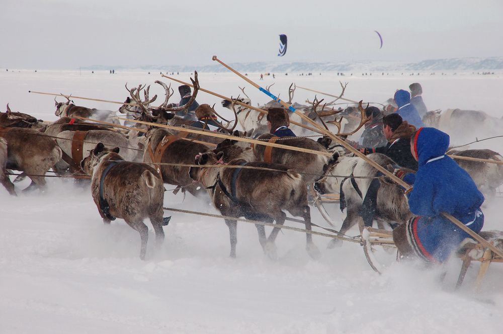 Photo #11026286