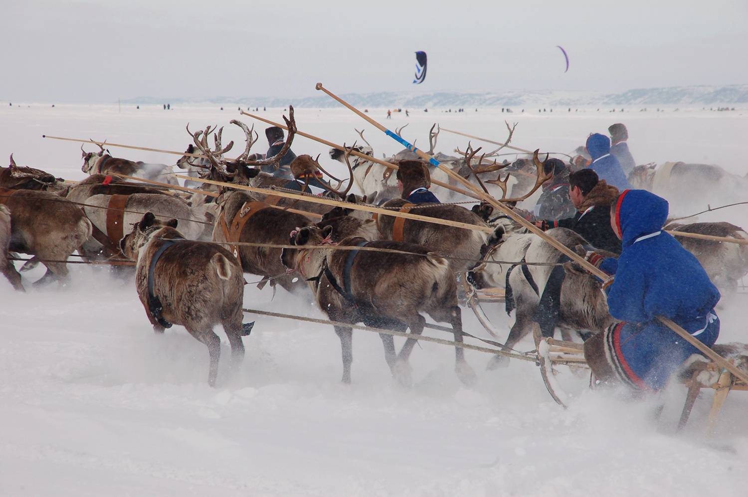 Photo #11026286