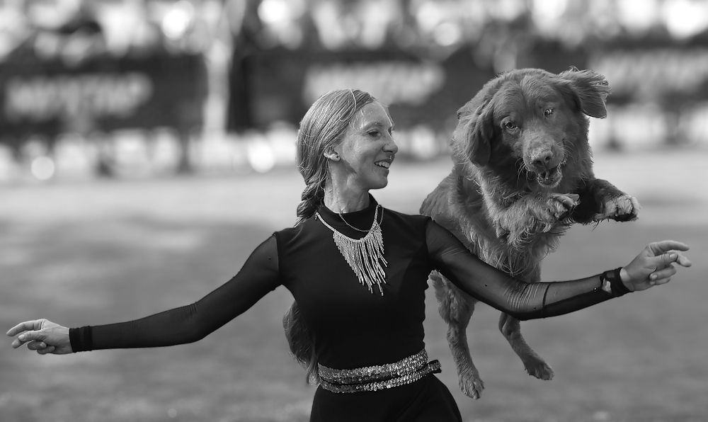 Photograph by Михаил Зильбер