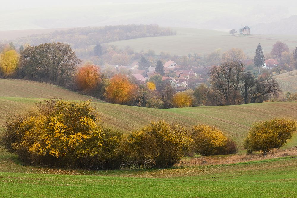 Photograph by Марина Маликова