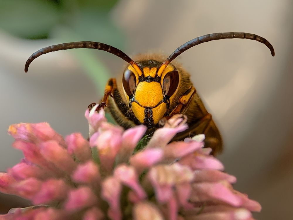 Photograph by Tatiana Grinko