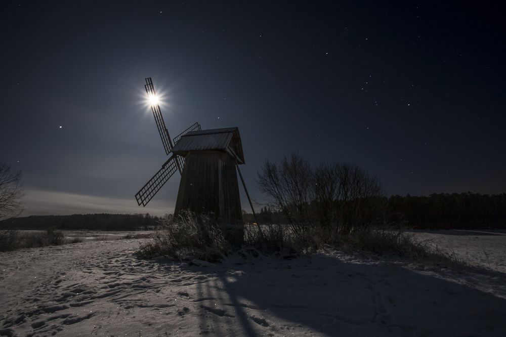 Photograph by Алексей Лазарев