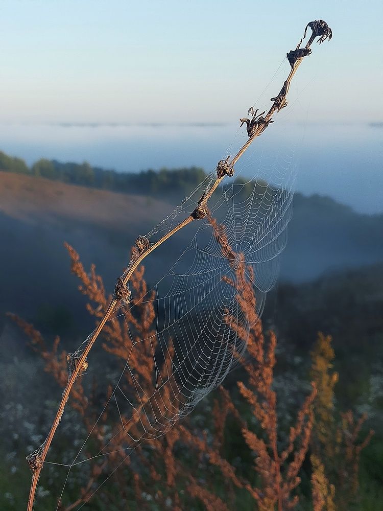 Photograph by Ольга Мартьянова