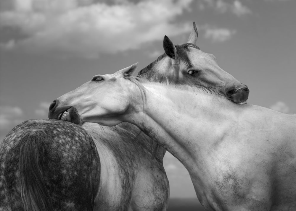 Фотография автора Tatiana Veresk