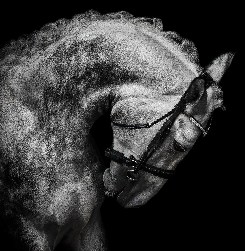 Photograph by Кристина Горковская