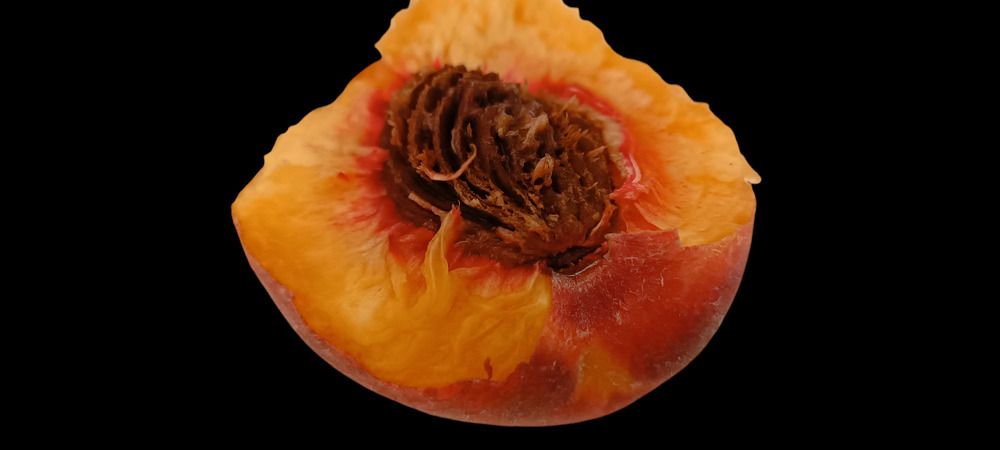 Фотография автора Bahaaddin Saber