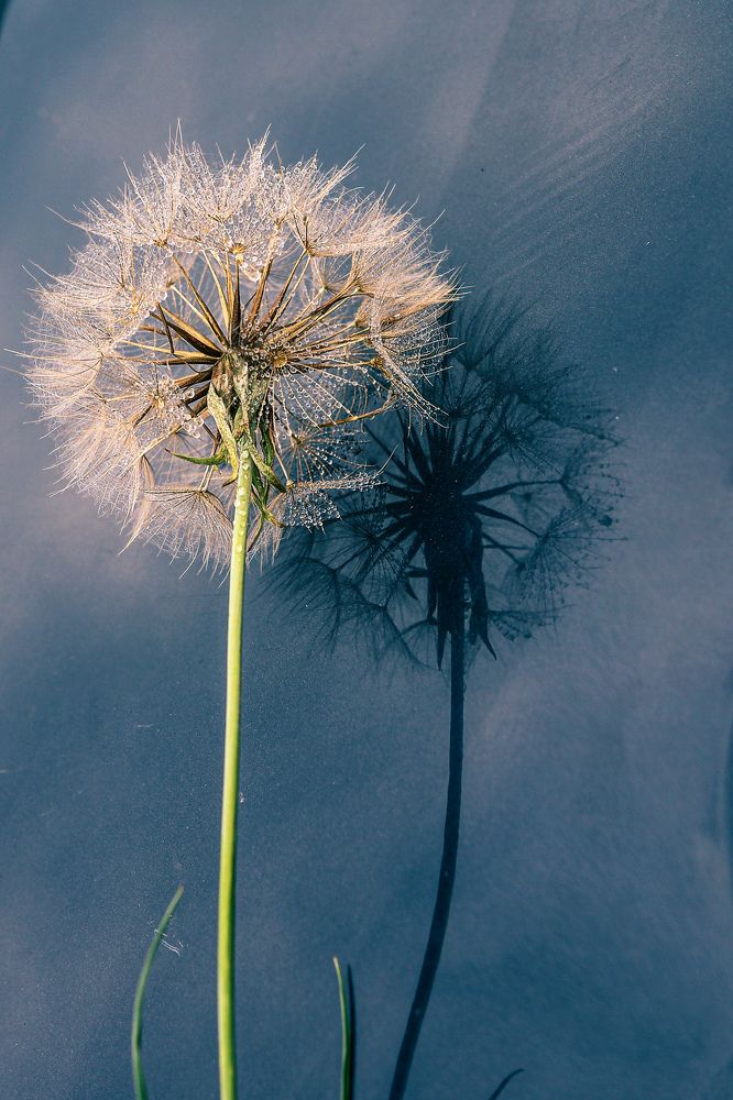 Photograph by Олеся Постнова