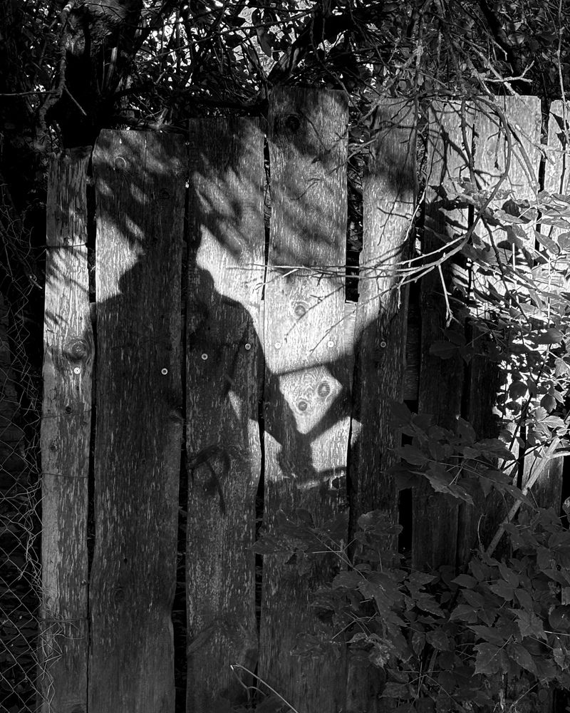 Photograph by Козинец Александр