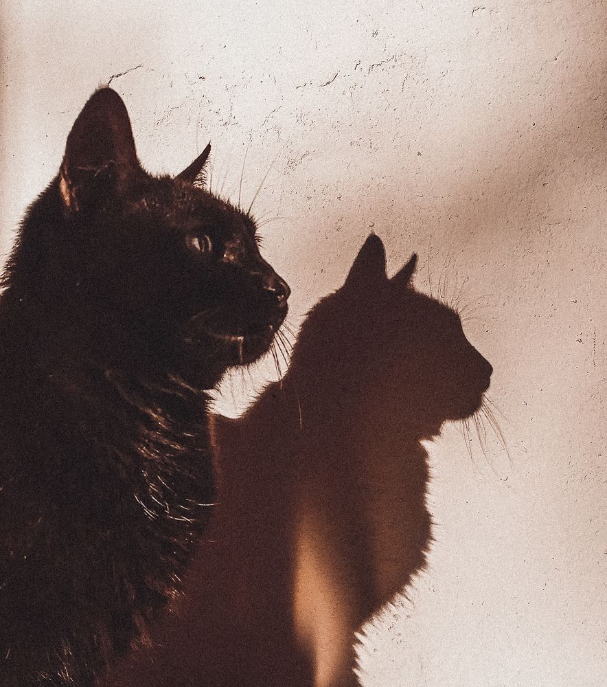 Photograph by SorokeZ