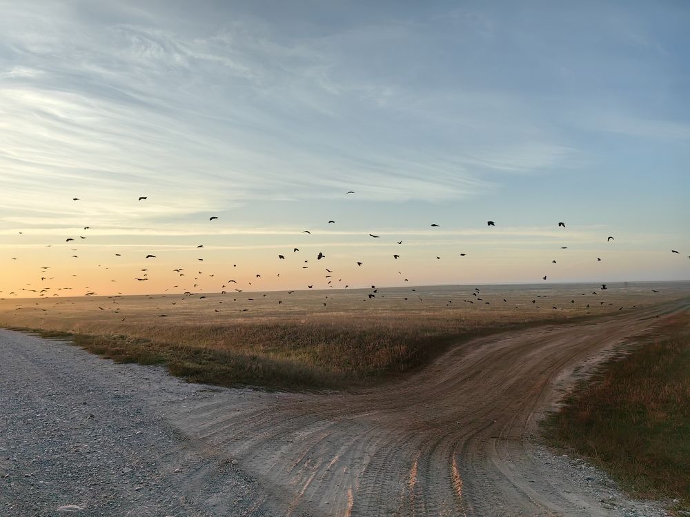 Повернешь налево.. найдешь
