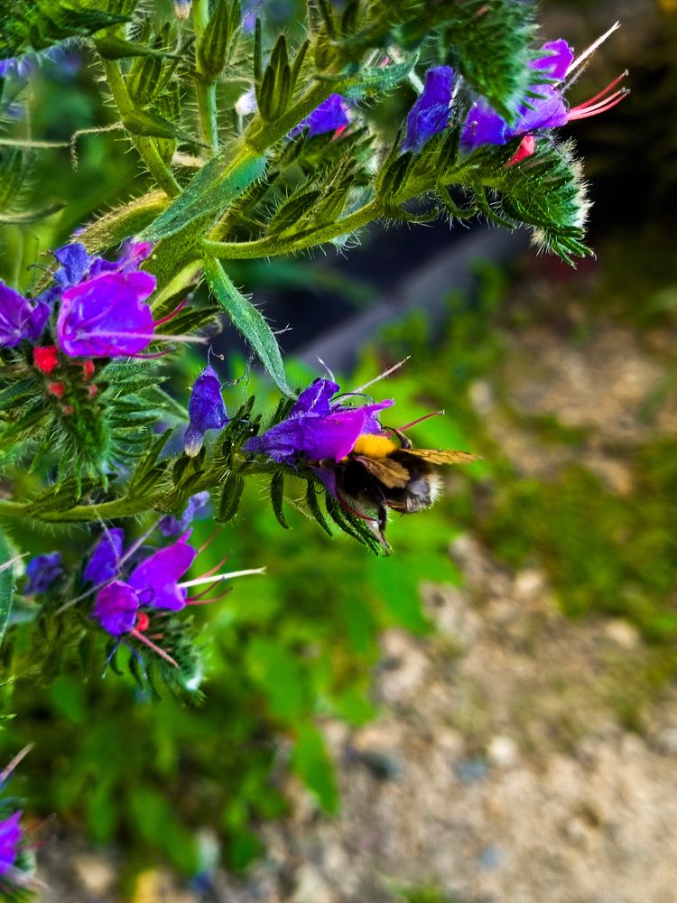 Photograph by Алёна Домрачева