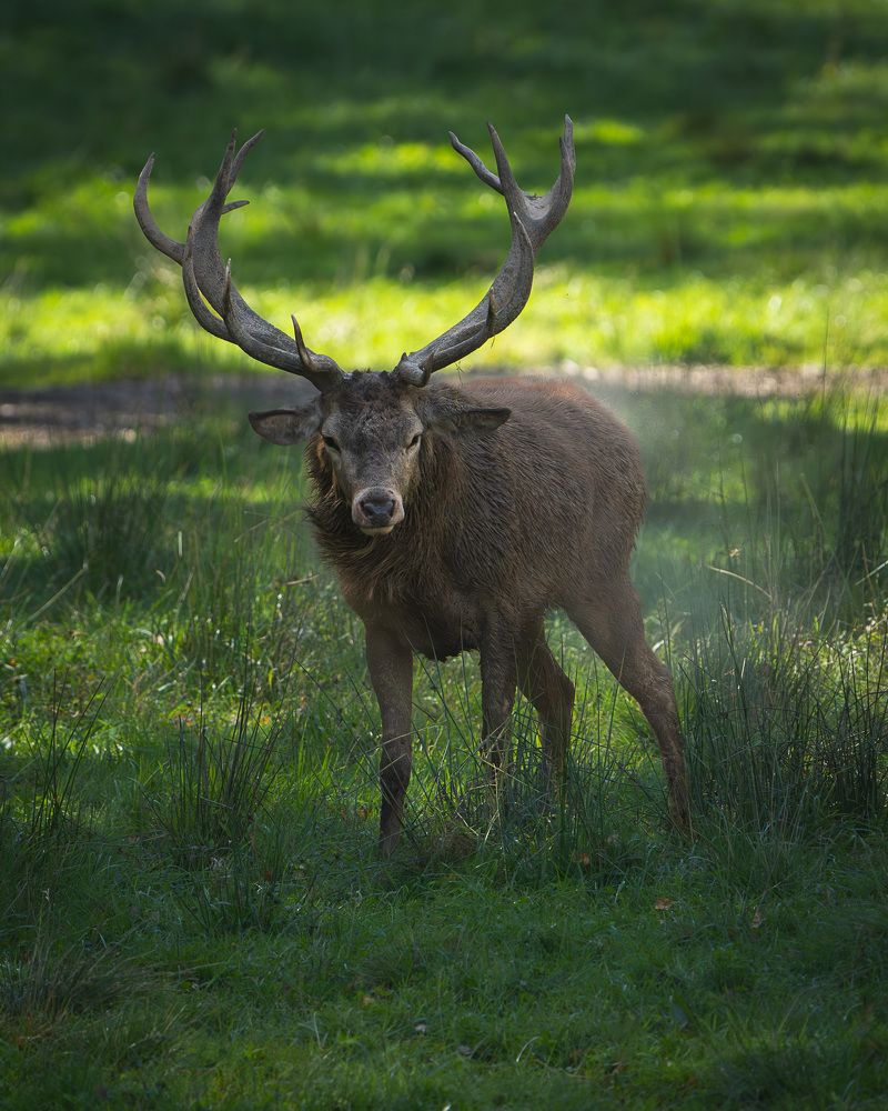 Photograph by Данил Шауба