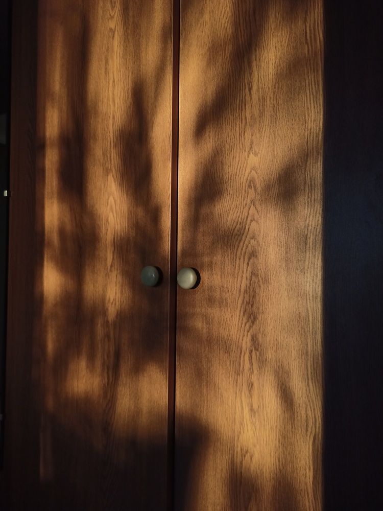 Photograph by Елизавета Мишина