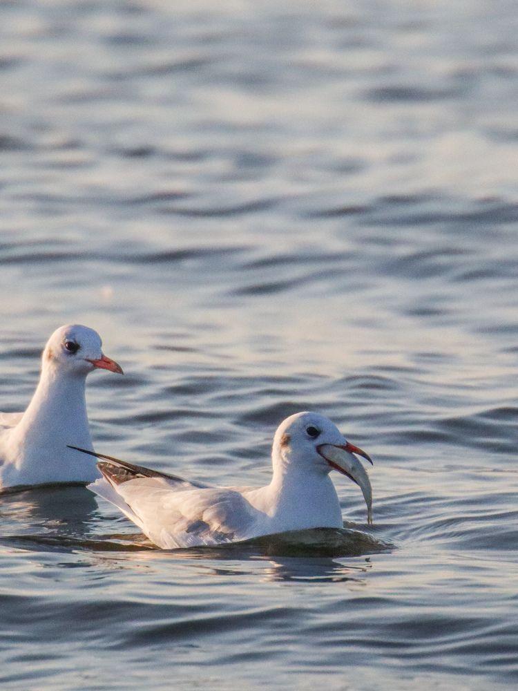 Photograph by Evgenia Korchagova