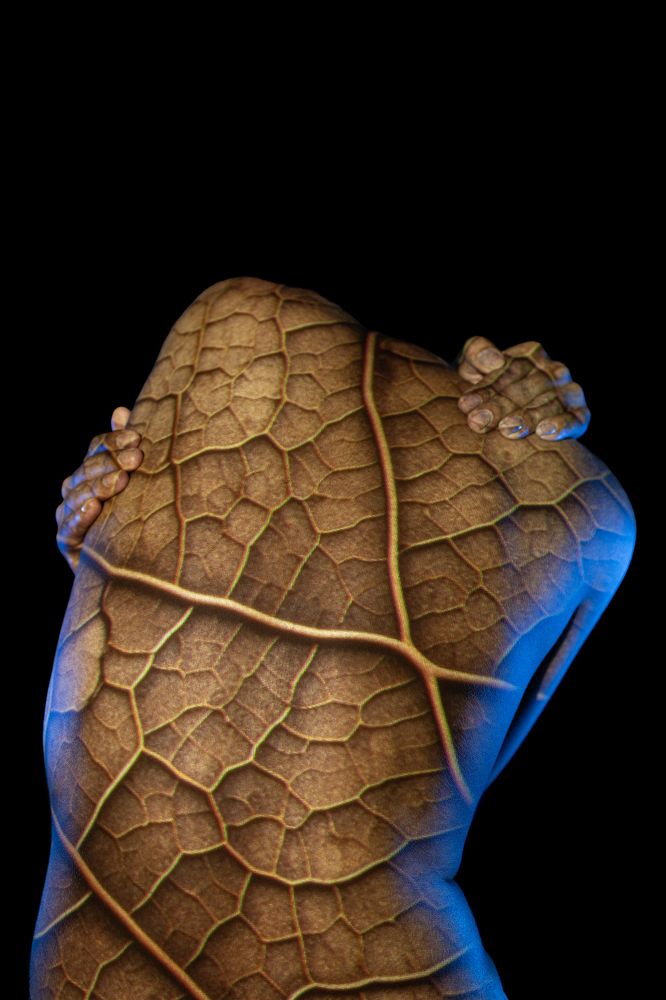 Photograph by Hirunika Senevirathne