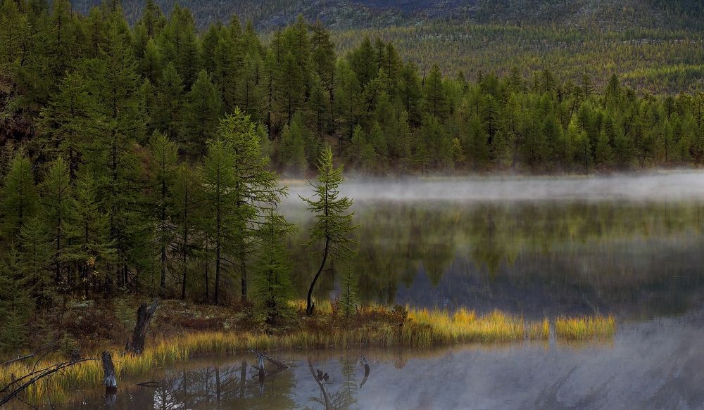 Photograph by Александр Попов