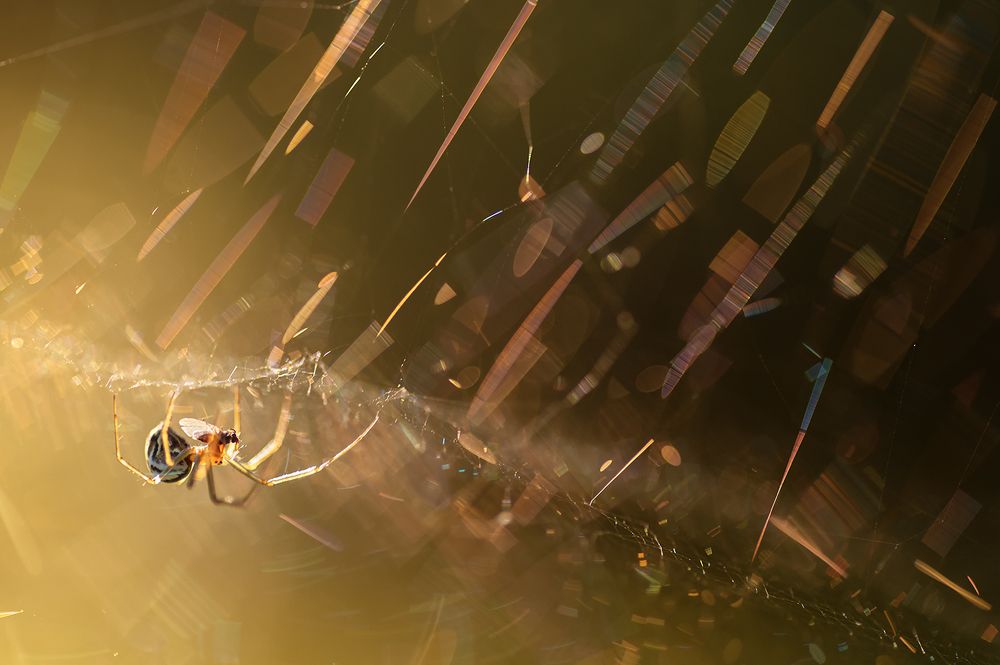 Photograph by Светлана Андреева