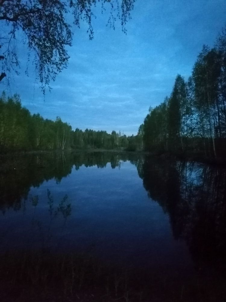 Photograph by Маргарита