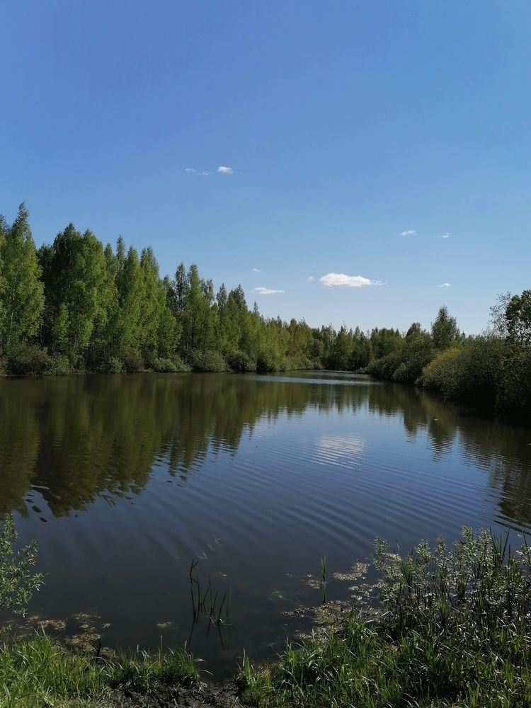 Photograph by Маргарита