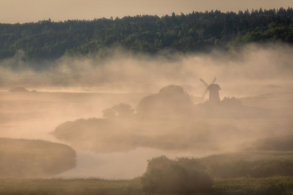 Photograph by Alexander Pashenichev