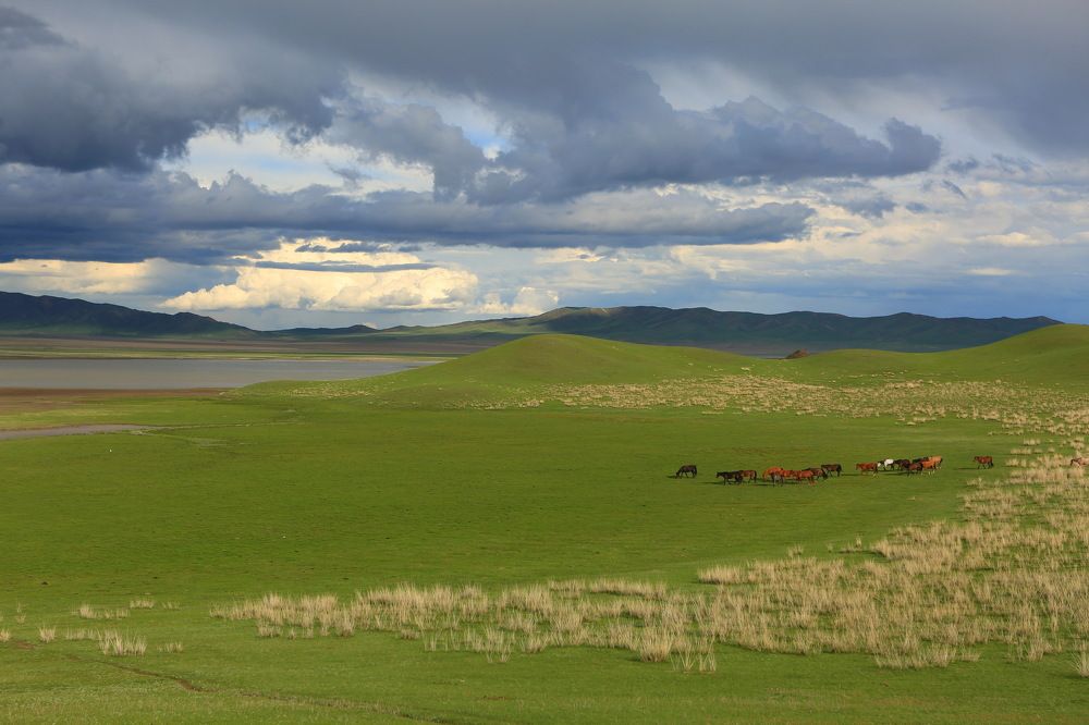 Photograph by Ирина Сушко