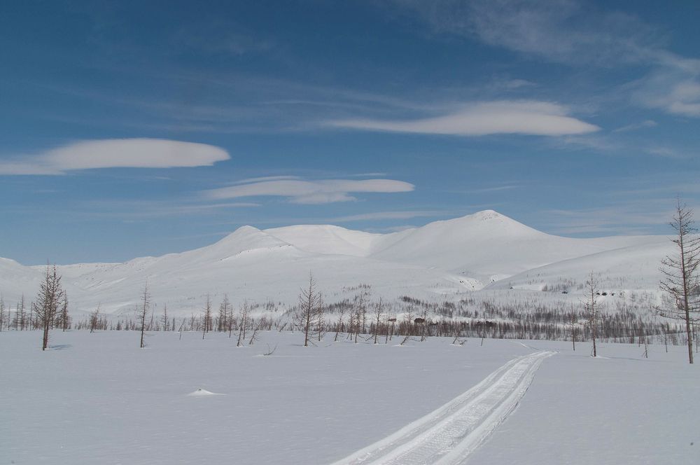 Photo #11026838