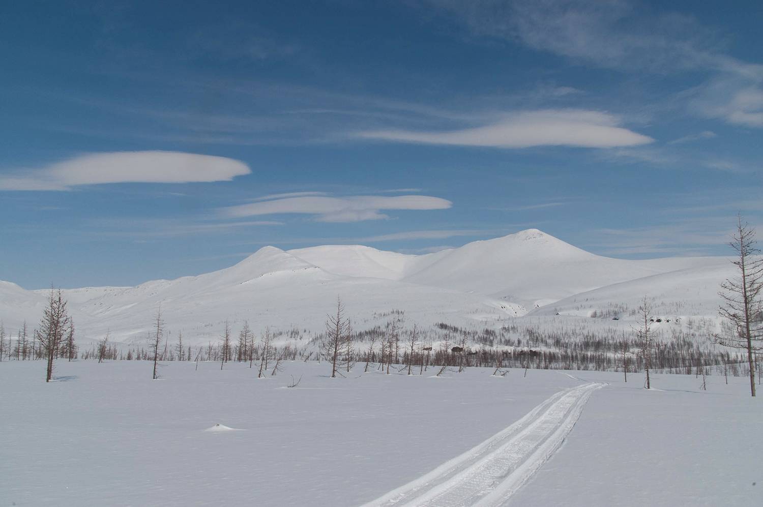 Photo #11026838
