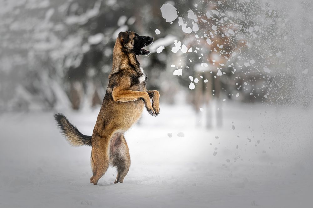 Photograph by Lucie Nermuťová