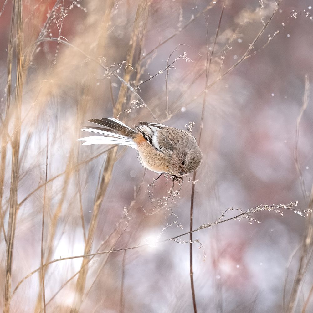 Photograph by Екатерина Дубровская