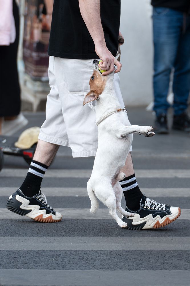 Photograph by MONICA STAN