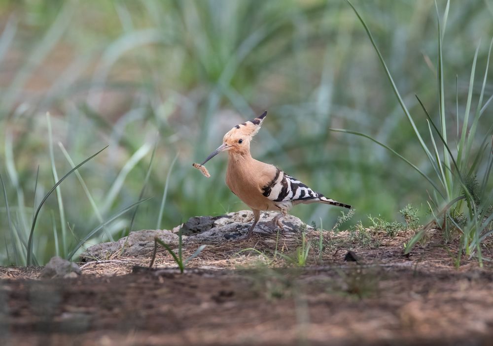 Photograph by Neza Cankar