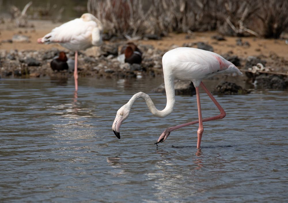 Photograph by Neza Cankar