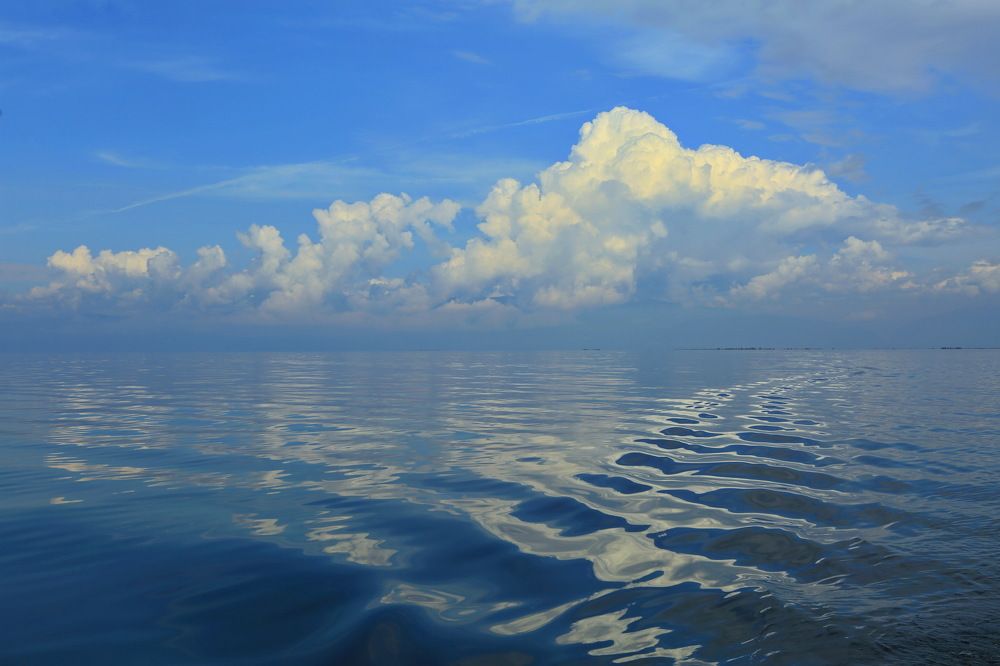 Photograph by Ирина Сушко