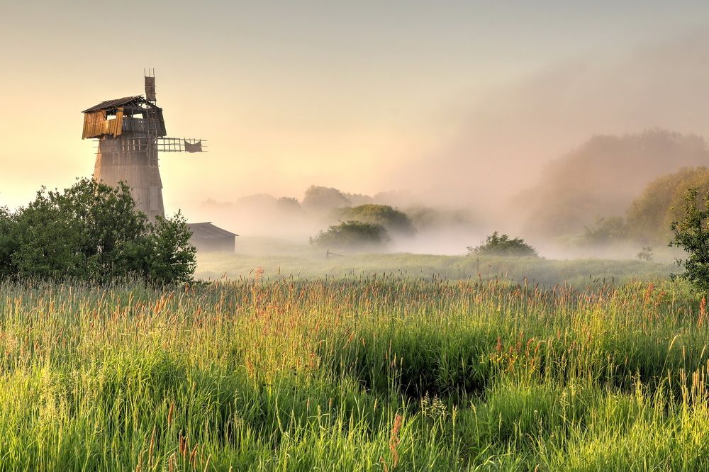 Photograph by Добролюбова Тамара