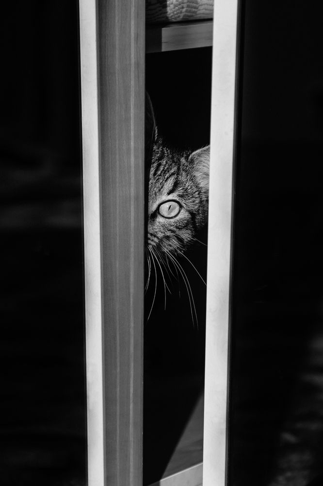 Photograph by Гульшат Хаертдинова