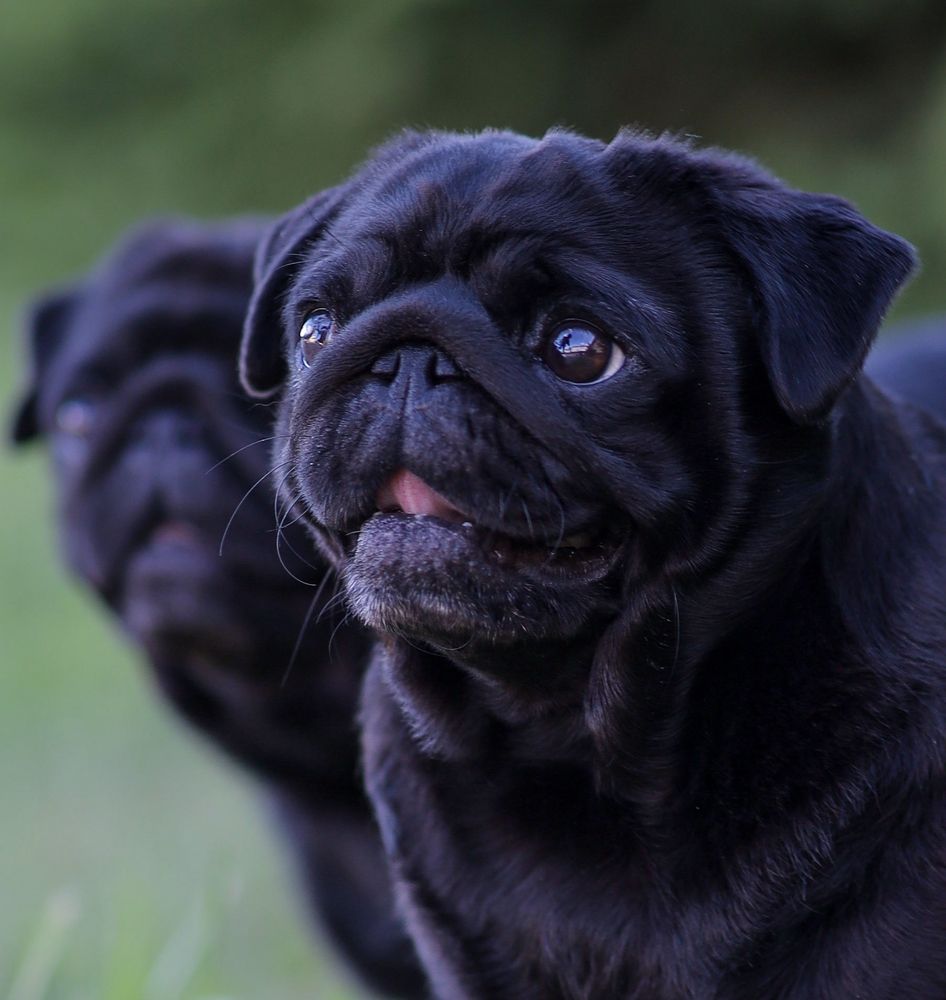 Фотография автора Ольга Кошина