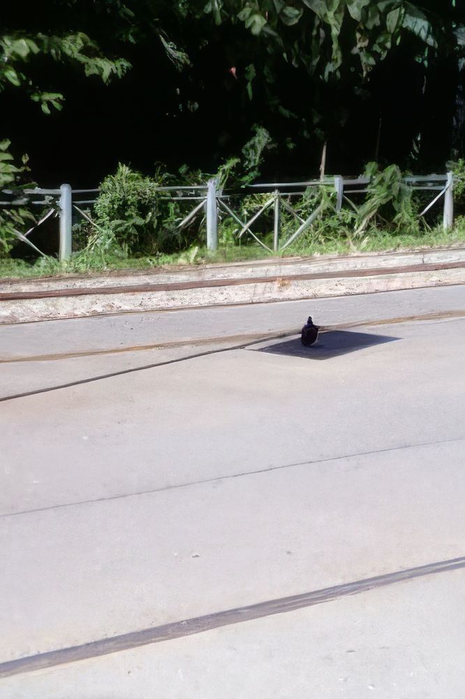 Photograph by Александр К