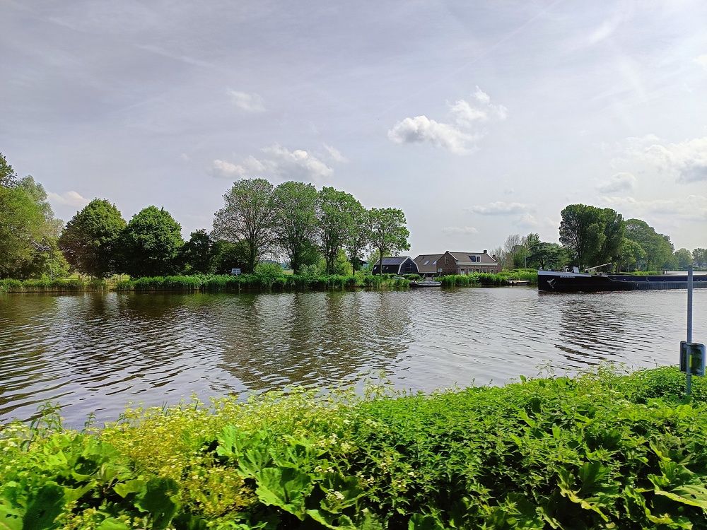 Photo #11027159