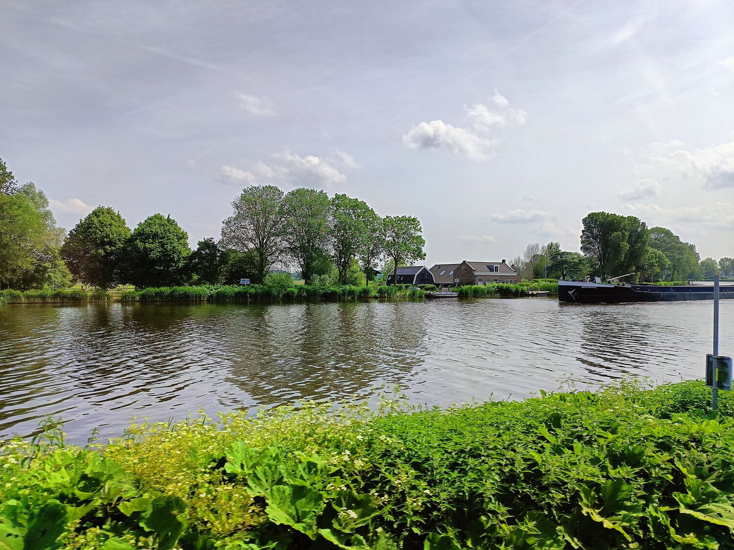 Photo #11027159