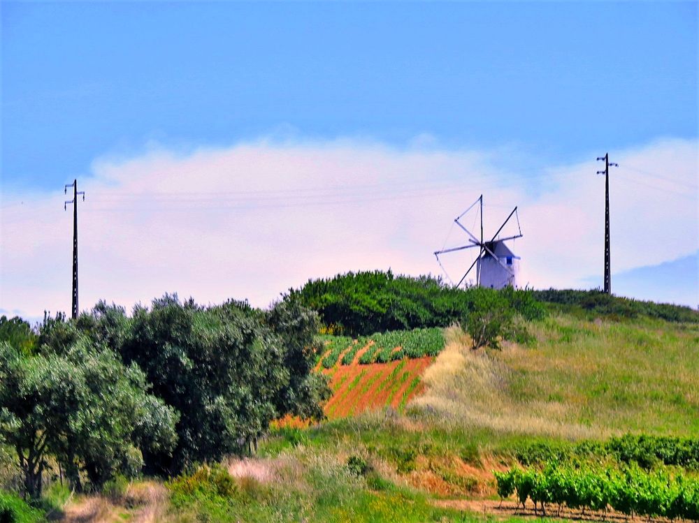 Windmill III