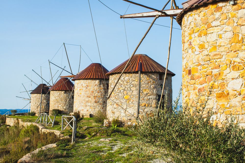 Фотография автора Valery Zonov