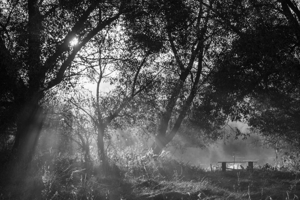 Photograph by Штунь Татьяна