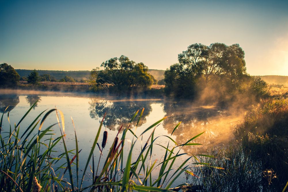 Photograph by Штунь Татьяна