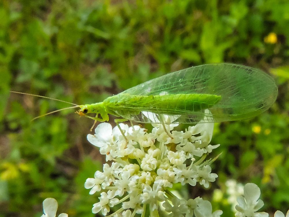Photograph by Епишев Андрей