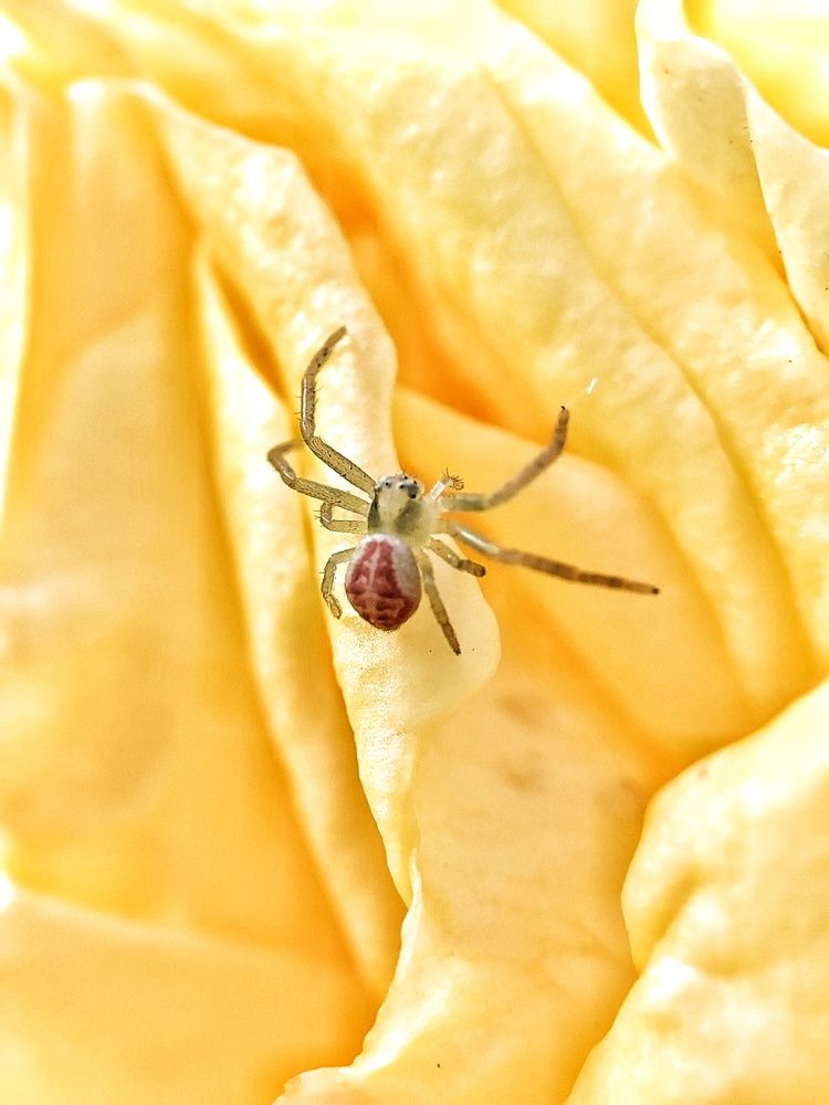 Photograph by Anastasia Malyukova