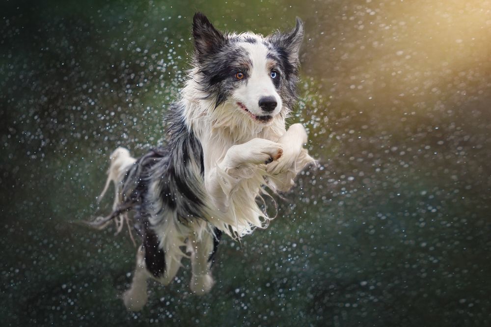 Photograph by Яна Нарбутович