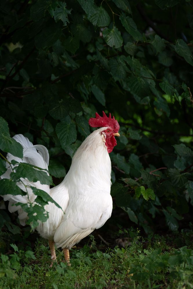 Photograph by Ольга